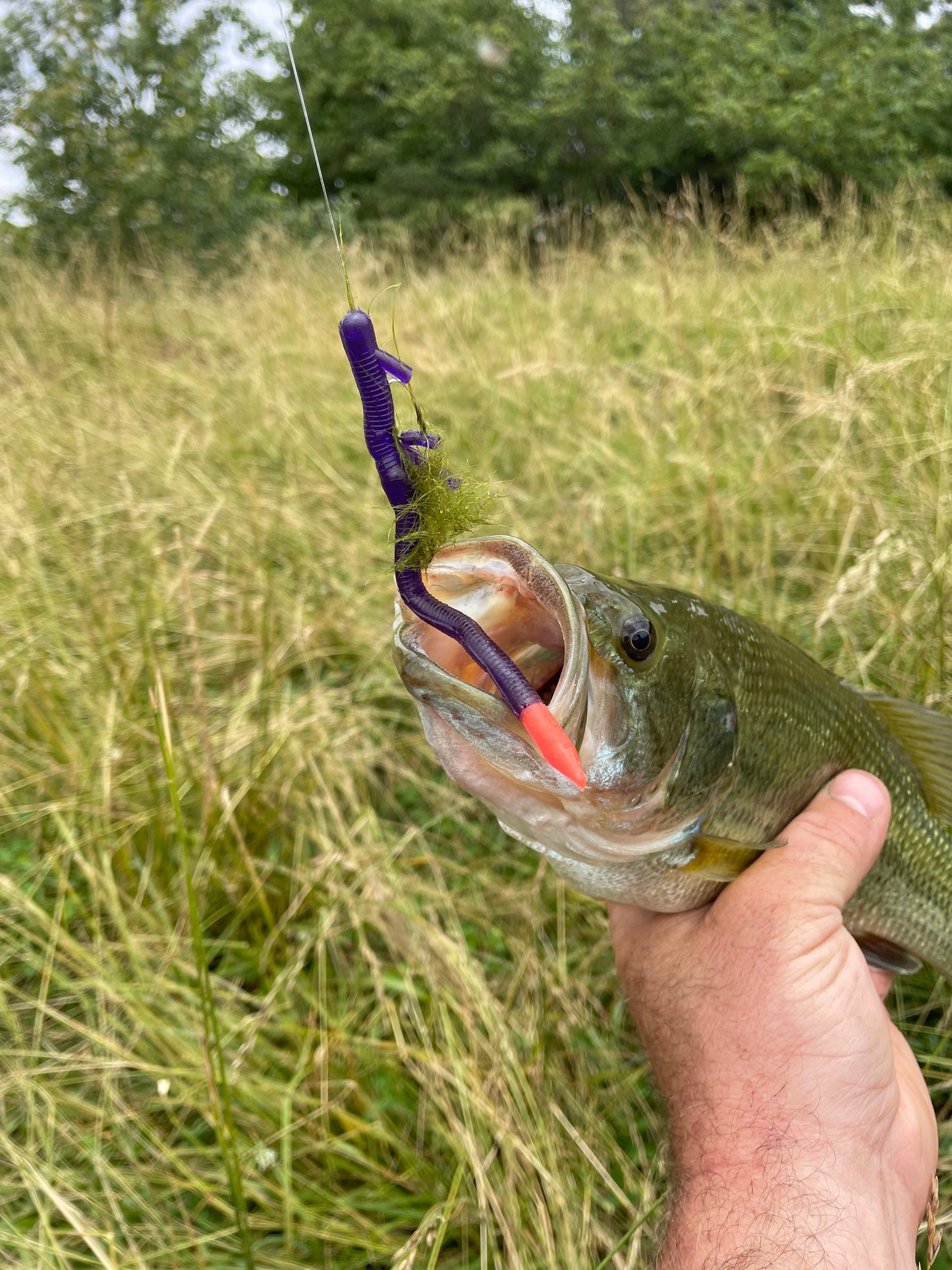 Pro Series Touchdown Lures Tackle Pack Top 5 Colors "SUPPER WEEDLESS" Pre-Rigged Lures in a compact tackle box